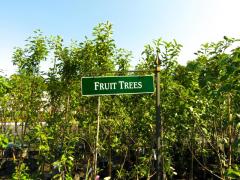 Garden Barn Fruit Trees