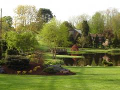 Garden Barn Pond